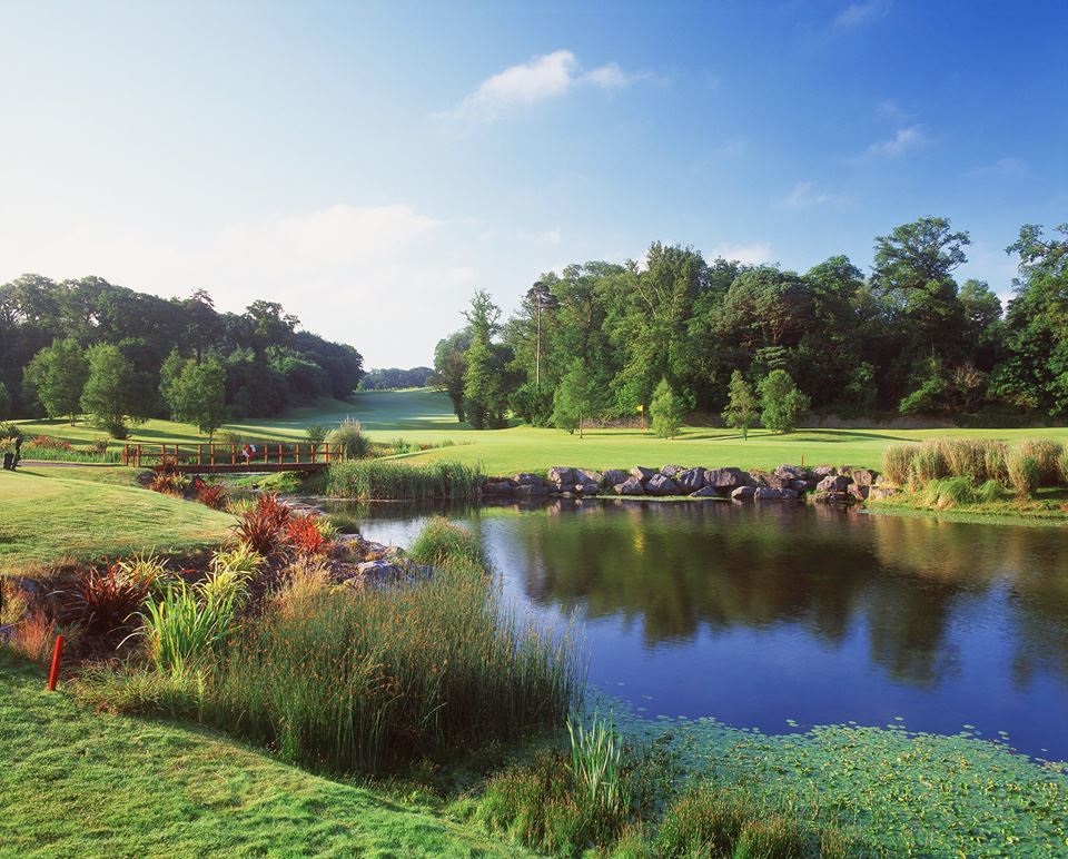 Fota Island by Aidan Bradley